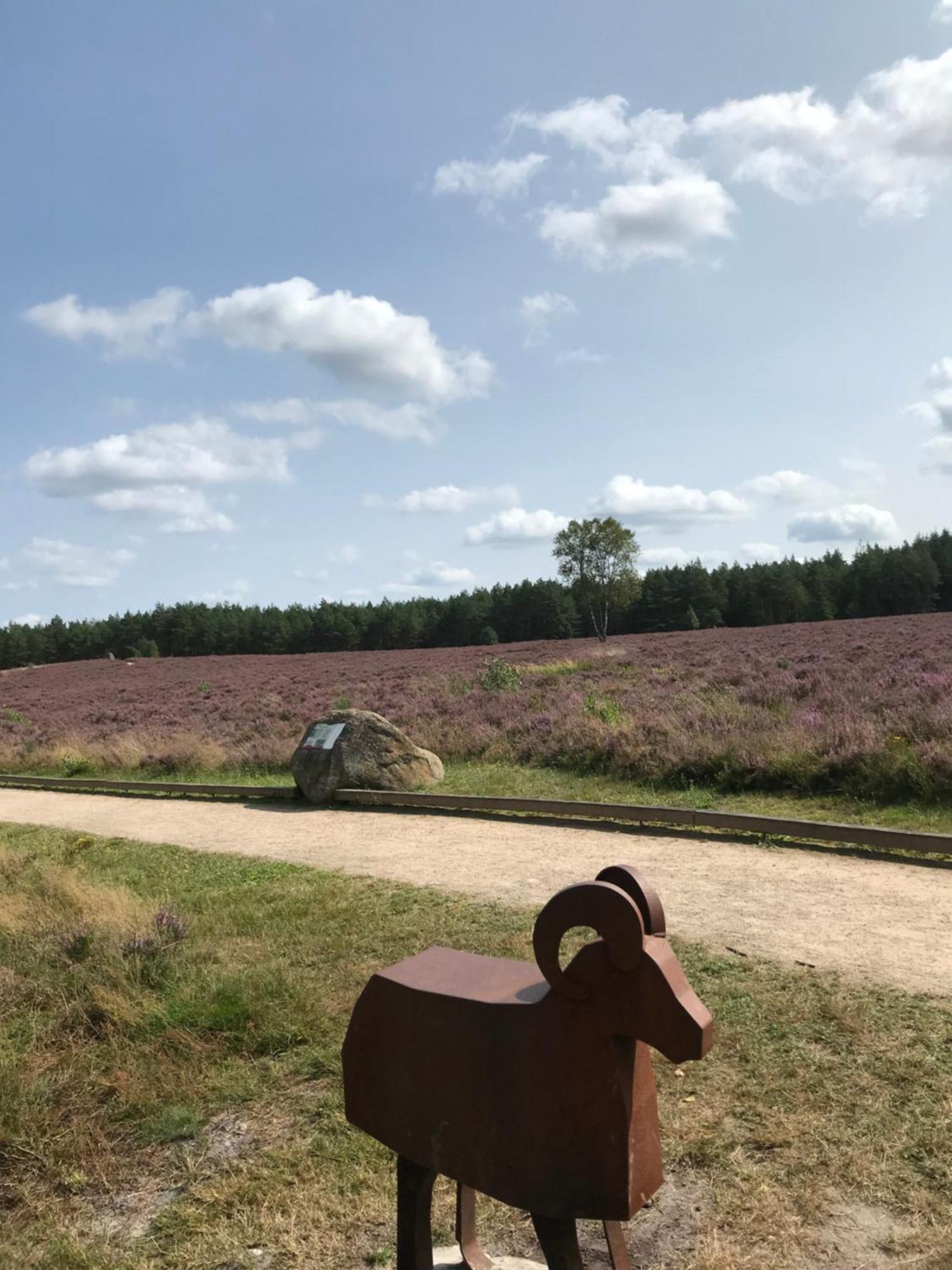 Naturhotel Hof Ehlers ベルゲン エクステリア 写真